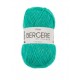 TRESOR VERT ARGENT