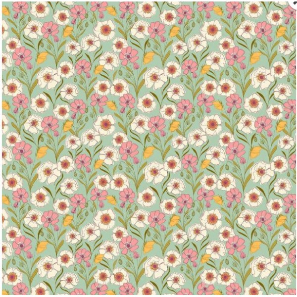 PROMENADE DANS LA PRAIRIE FRAMBOISE DES COQUELICOTS