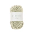 RICORUMI DK ROSEAU