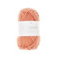 RICORUMI DK PAPAYE