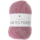 PAINTED POWER BERRIES