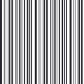 CANVAS BLACK STRIPES C3